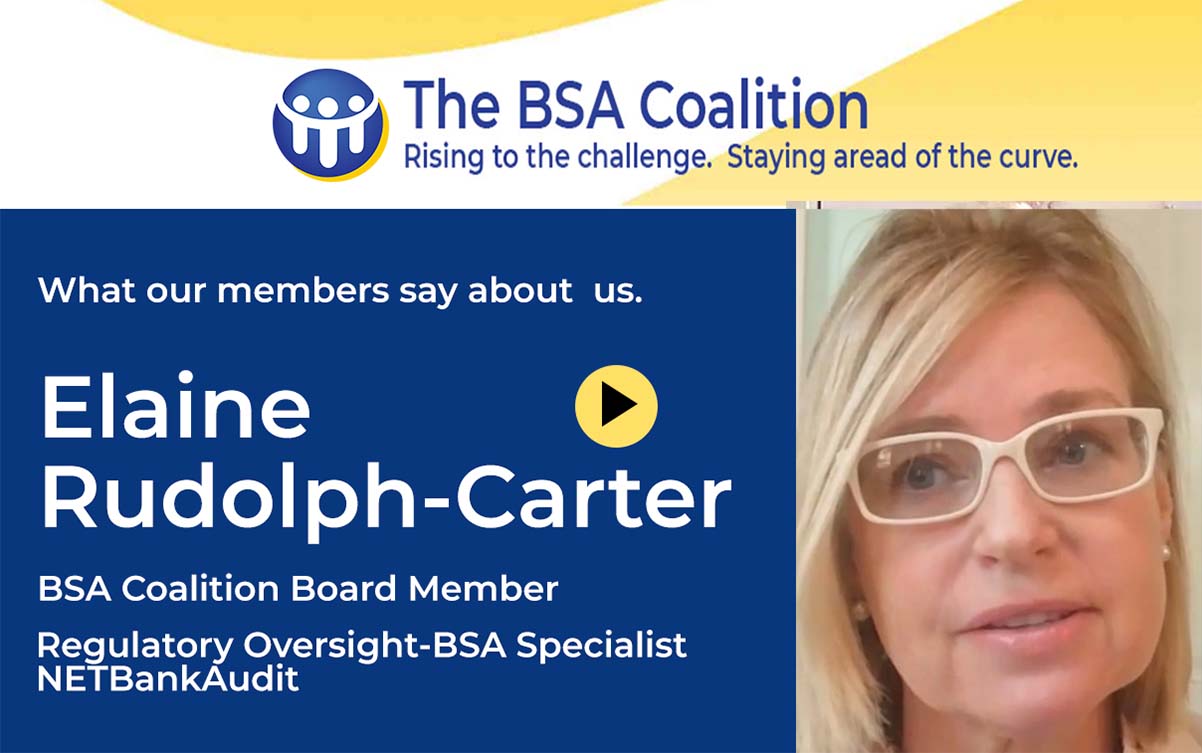 Elaine Rudolph-Carter, BSA Coalition Board Member